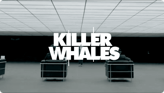 The Killer Whale Diaries: Decision Time